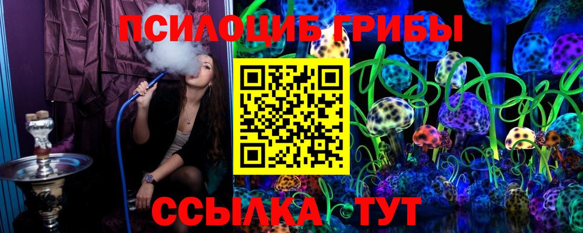 Галлюциногенные грибы Psilocybe Гуково