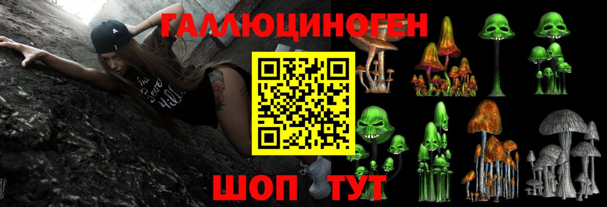 Псилоцибиновые грибы GOLDEN TEACHER  Галлюциногенные грибы мицелий  где можно купить   Вход с VPN  Гуково 